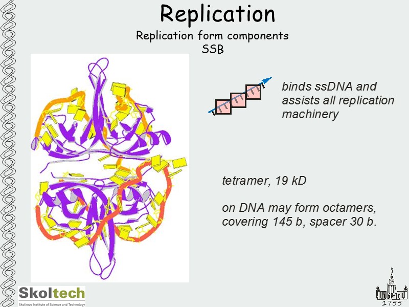 Replication Replication form components SSB